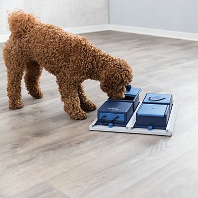 Dog Activity Poker Box 1 Strategy Game, Level 2 Dog Puzzle Toy, Treat Dispenser