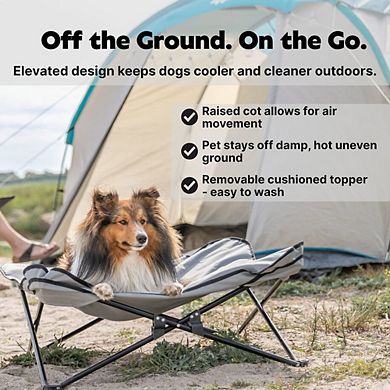 Elevated Camping Cot, Folding Dog Bed, Raised Travel Lounger