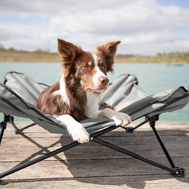 Elevated Camping Cot, Folding Dog Bed, Raised Travel Lounger