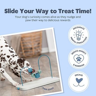 Dog Activity Skills Loop Strategy Game, Level 4 Advanced Food Puzzle