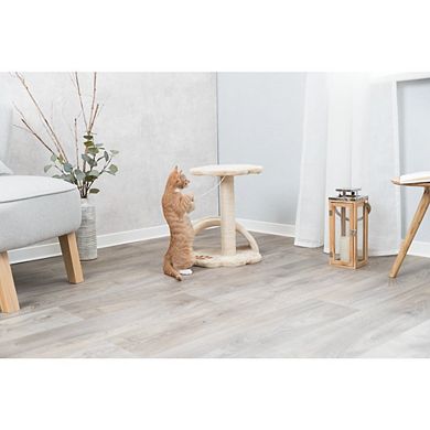 Vitoria Plush & Sisal 17" Cat Scratching Post with Platform