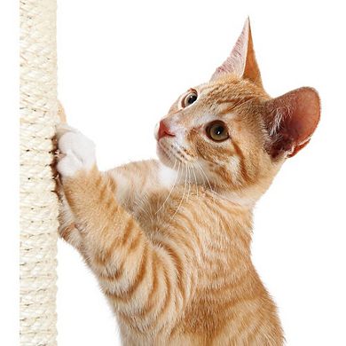 Palamos Plush & Sisal 4-Level Cat Tree with Scratching Posts & Condo