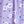 Purple Print