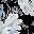 Black White Flower
