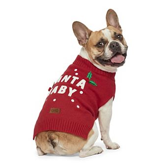 WOOF® Santa Baby Mistletoe Pet Sweater