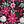 Blk Tight Floral