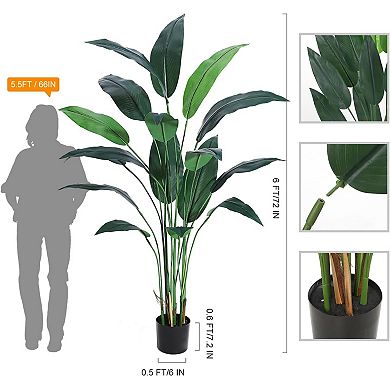 6FT Realistic Bird of Paradise Silk Tree