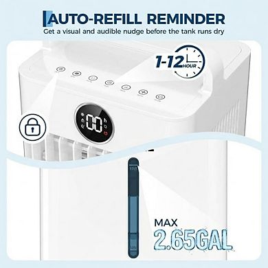 ANIXOL Evaporative Air Cooler with Remote Control and LED Display