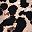 Leopard Print