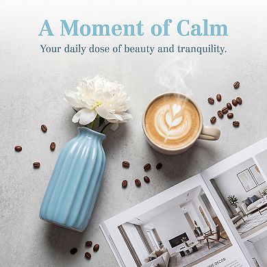 Small Ceramic Vase Matte Ribbed Decorative Flower Vase for Desktop Bathroom Minimalist Boho Home