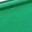 Green Frame Black Lens