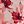 Rust Wine Peach