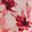 Rust Wine Peach