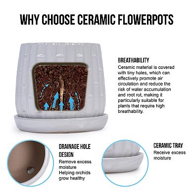 Set of 2 Handmade Ceramic Planters 6 & 8 Inch Breathable Clay Pots with Bamboo Pattern