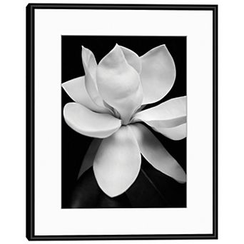 Masterpiece Magnolia Framed Wall Art