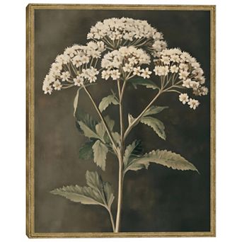 Masterpiece Sophisticated Floral Portrait Framed Wall Art