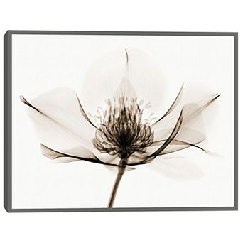 Masterpiece Hellebore I Framed Wall Art