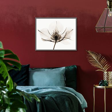 Masterpiece Hellebore I Framed Wall Art