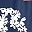 Navy Blue Flowers