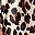Beige Leopard