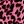Pink Leopard