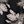 Black Palm Leaf