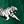 Dark Green Tiger