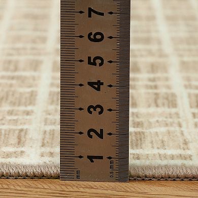 Washable Area Rugs, Modern Plaid Printed Indoor Floor Carpet with Non-Slip Backing