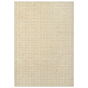Washable Area Rugs, Modern Plaid Printed Indoor Floor Carpet with Non-Slip Backing