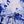 Tie Dye Blue White