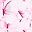 Pink White Floral Grey