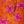 Orange Floarl