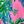 Coconut Tree Pink