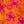 Floral Orange