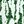 Stripe Green