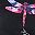 Dream Dragonfly
