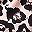 Beige Leopard