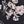 Black Flowers