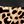 Black Leopard