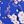 Blue Flowers