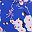 Blue Flowers