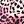 Pink Leopard