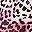 Pink Leopard