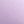 Black Light Purple
