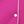 Magenta Pink Mauve