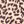 Brown Leopard