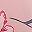 Pink Pink