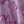 Purple Pink