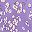 Purple White