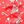 Red Christmas